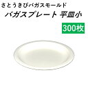  使い捨て容器 バガスプレート 平皿小 300枚 バーベキュー パーティー 取り皿 通常ゴミで捨てられる