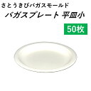  使い捨て容器 バガスプレート 平皿小 50枚 バーベキュー パーティー 取り皿 通常ゴミで捨てられる