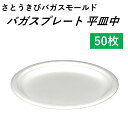  使い捨て容器 バガスプレート 平皿中 50枚 バーベキュー パーティー 取り皿 通常ゴミで捨てられる