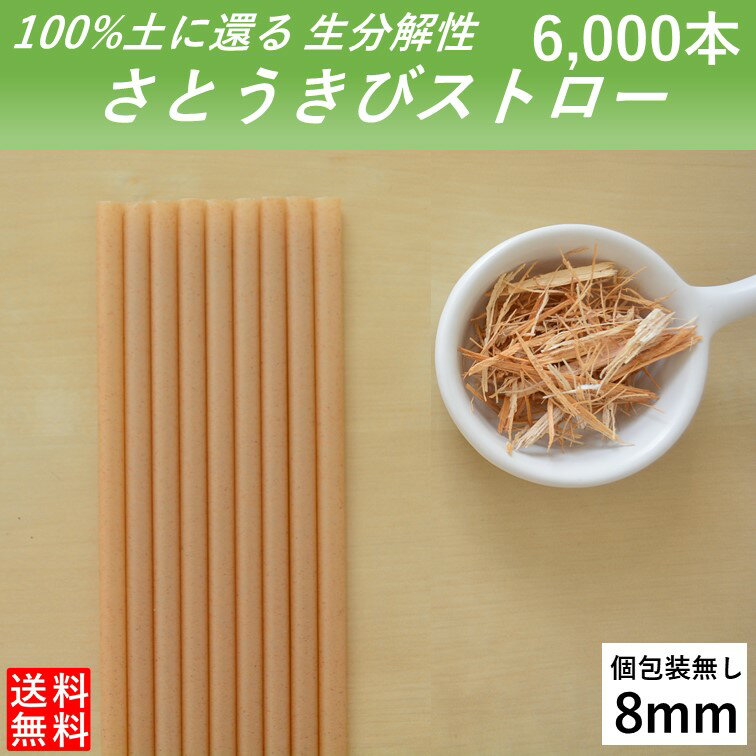 【100％土に還るストロー】 生分解性 さとうきびストロー 管径8mm 長さ210mm 6000本 個包装無し カフェ バー ジュース カクテル 使い切りストロー