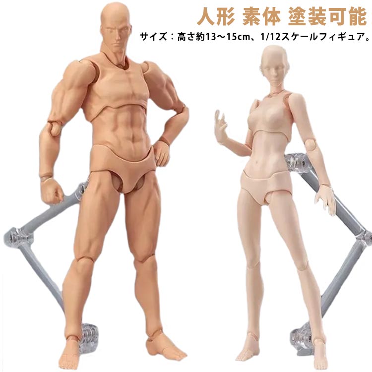 サイズ：高さ約13～15cm、1/12スケールフィギュア。芸術家を念頭に置いて作成された、非常にリアルな、関節のある数字。人間の姿勢や人物を扱うアーティストのための究極のツール。漫画やアニメ、イラスト作成やスケッチの際、走る、歩く、ジャンプなど人の動作や体や手足のリアルな動きを表現する際に便利に使用できます。人体の動きの流れを美しく再現しているので、画像のように思わず見とれてしまう程のポージングとボディライン。 サイズ F サイズについての説明 F 高さ約13～15cm 素材 PVC 色 ベージュ(女性） ベージュ(男性） グレー(女性） グレー(男性） オレンジ(女性） オレンジ(男性） 備考 ●サイズ詳細等の測り方はスタッフ間で統一、徹底はしておりますが、実寸は商品によって若干の誤差(1cm～3cm )がある場合がございますので、予めご了承ください。 ●製造ロットにより、細部形状の違いや、同色でも色味に多少の誤差が生じます。 ●パッケージは改良のため予告なく仕様を変更する場合があります。 ▼商品の色は、撮影時の光や、お客様のモニターの色具合などにより、実際の商品と異なる場合がございます。あらかじめ、ご了承ください。 ▼生地の特性上、やや匂いが強く感じられるものもございます。数日のご使用や陰干しなどで気になる匂いはほとんど感じられなくなります。 ▼同じ商品でも生産時期により形やサイズ、カラーに多少の誤差が生じる場合もございます。 ▼他店舗でも在庫を共有して販売をしている為、受注後欠品となる場合もございます。予め、ご了承お願い申し上げます。 ▼出荷前に全て検品を行っておりますが、万が一商品に不具合があった場合は、お問い合わせフォームまたはメールよりご連絡頂けます様お願い申し上げます。速やかに対応致しますのでご安心ください。