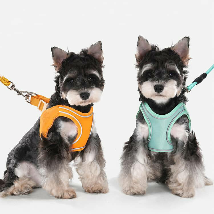 リード 胴輪 犬 小型犬 1.5m 引っ張り防止 セット サドル型 メッシュ 負担が少ない...