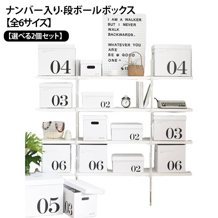 2個セット 白 2個セット 収納ボックス フタつき 取っ手付き おしゃれ ダンボール モダン 蓋付き 箱 頑丈 段ボール 大きい 段ボールボックス 6サイズが選べる 大容量 本 洋服 CD A4 書類 スニーカー 鞄 おもちゃ 備蓄品 書類収納 衣類収納 収納BOX 押入れ収納