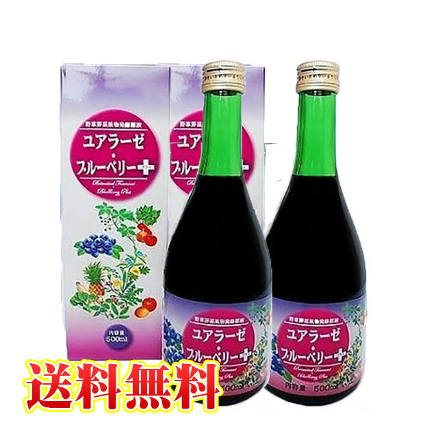 酵素断食やダイエットにもおすすめの酵素ドリンク酵素飲料ユアラーゼ・ブルーベリープラス　2本セット（1本500ml入）【送料無料・代引手数料無料・レビューを書いてプチプレゼント付き】