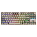 「送料無料」EPOMAKER P87 ゲーミングキーボード ワイヤレス メカニカルキーボード テンキー ホットスワップ対応 ガスケットマウント カスタムRGBバ...