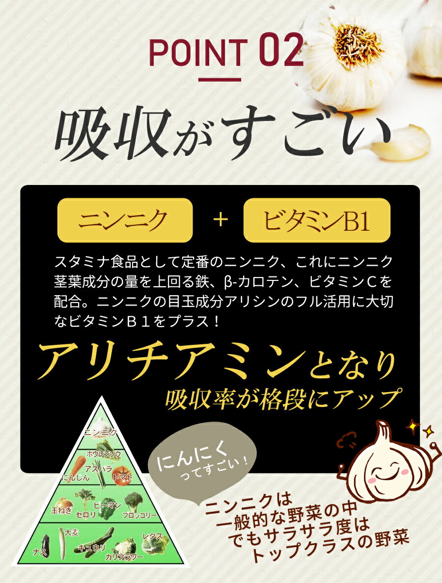 （送料無料・メール便）新全草生ニン球（特濃）24球入 お試し6日間 日本保健研究所 サプリメント にんにく ニンニク お試し ビタミンB1 栄養機能食品 亜鉛 鉄 スタミナ βーカロテン ビタミンC 生活習慣 健康維持