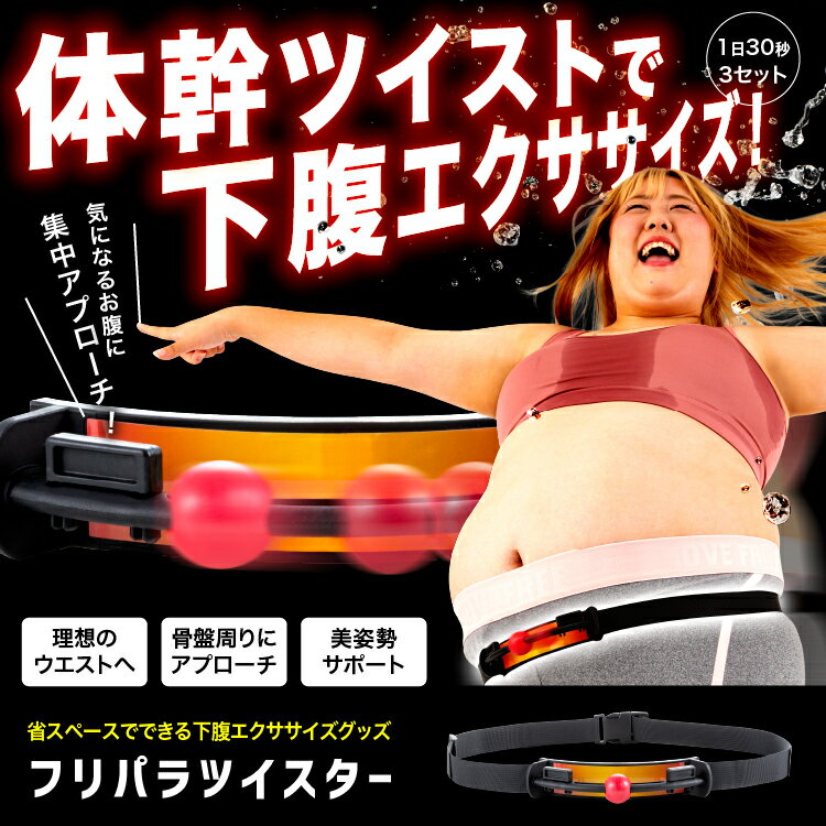 フリパラツイスター