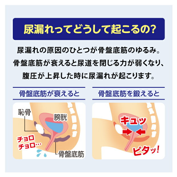 雑貨アイディ屋の骨盤サポートショーツ｜アングル3