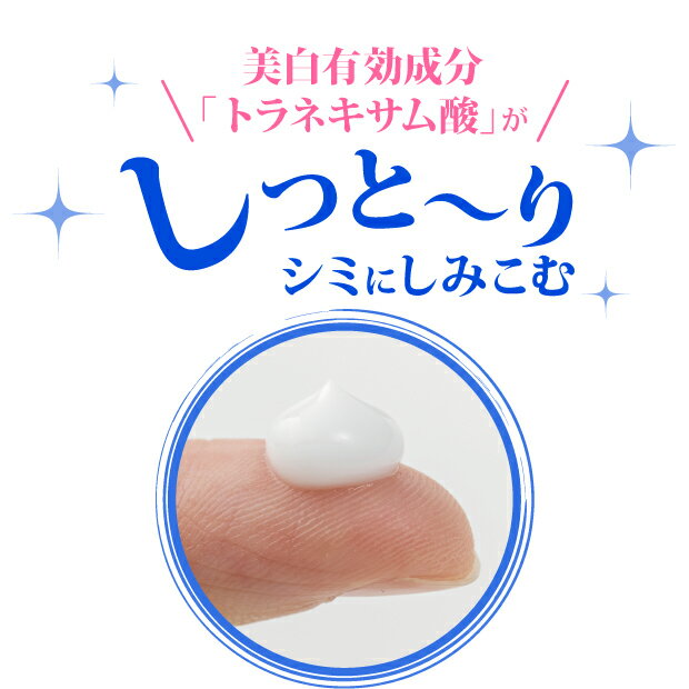 ���ѥȥ饷����Z�ڰ��������ʡ�