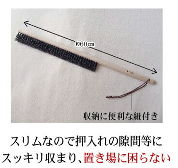 �����ȥ֥饷�ΤդȤ�ʧ���֥饷