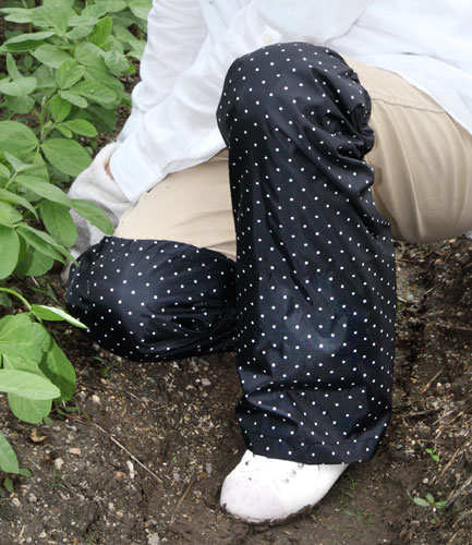 ��å����С����֥�å���̡��쥮��顼�����ס�KW551B�ڥ᡼��������������Բġۢ�2�Ĥ�����̵��