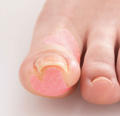 ���ޥ����ɥơ��ס�20�����ꡡ22835