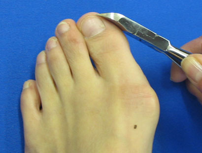 ���ڤ�˥åѡ�������ꥹ���饦��