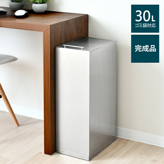 2419 ステンレスダストボックス 30L