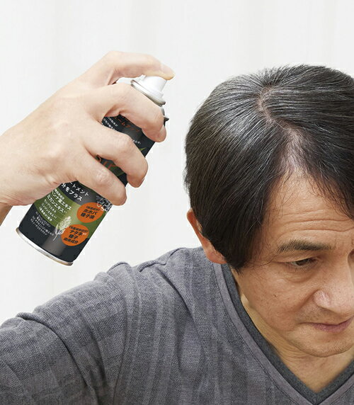 �ܥ��ˡ��إ�������PLUS