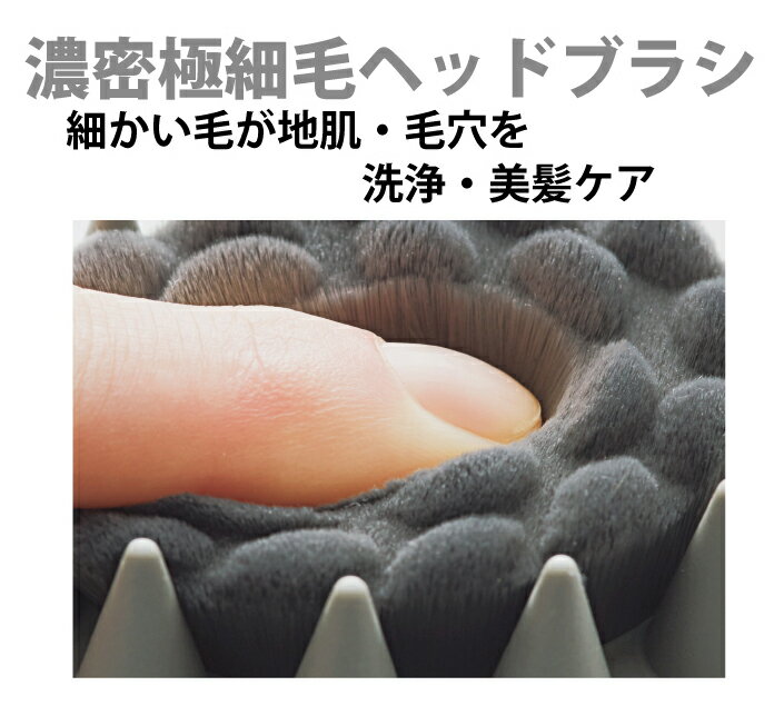 BeauR W������ץ����֥饷��92995�����ӷ������ۡڥĥܲ����ۡڥ����ס��֥饷��