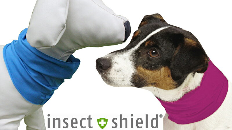 insect shield【インセクトシールド】犬用ひんやり虫よけネックゲイター【DM便かレターパックでお届け】【代引・日時指定不可】のサムネイル