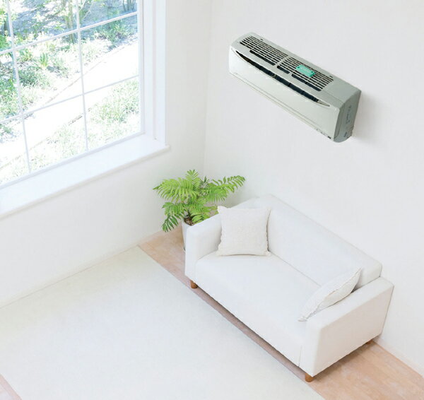 �ѥ�Х�����������Υ��Ӥ��줤��020154