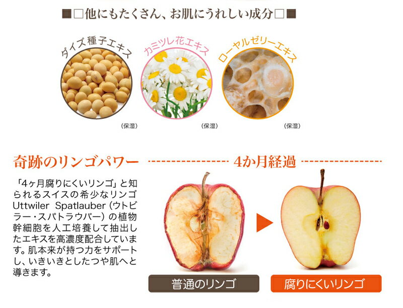 �ʥ���쥯�ꥢ