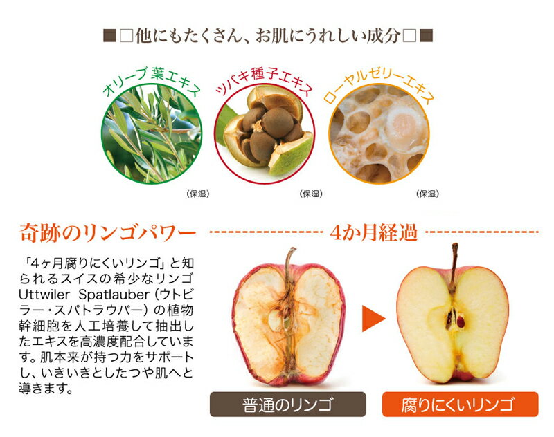 �ʥ����ԥ��