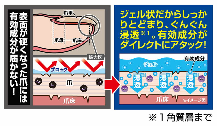 ���ѡ��ĥᥭ���ڥ᡼��������������Բġ�