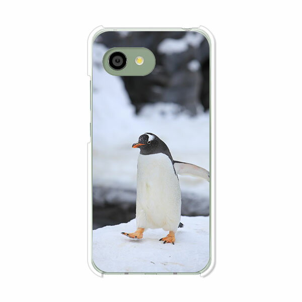 AQUOS R2 compact 803SH/SH-M09 共通 ケース/カバー 【ペンギン クリアケース素材】aquosr2compact803sh カバー アクオス SHM09 ソフトバンク 楽天モバイル mineo
