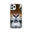 iPhone12 / iPhone12 Pro 共通 ケース/カバー 【TIGER クリアケース素材】APPLE iphone12proケース iPhone12カバー アイフォン 12 ケース 携帯ケース 携帯カバー ip12(2)