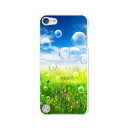 送料無料 第5世代 iPod touch アイポッド ケース/カバー Apple iPod touch5専用【NATURE クリアケース素材】