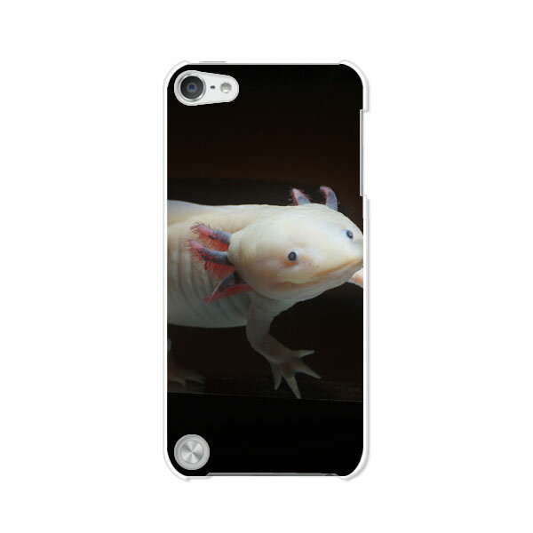 送料無料 第5世代 iPod touch アイポッド ケース/カバー Apple iPod touch5専用【ウーパールーパー ク..