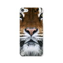 送料無料 第5世代 iPod touch アイポッド ケース/カバー Apple iPod touch5専用【TIGER クリアケース素材】