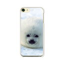 iPod touch 第7世代/第6世代 共通 ケース/カバー 【ゴマフ クリアケース素材】アイポッドタッチ ipodtouch6 ジャケット iPodtouch7