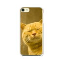iPod touch 第7世代/第6世代 共通 ケース/カバー 【吾輩は猫である名前はまだニャい クリアケース素材】アイポッドタッチ ipodtouch6 ジャケット iPodtouch7