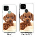 Google Pixel 5 / Google Pixel5a(5G) ケース/カバー 【プードル クリアケース素材】グーグル ピクセル5 ケース スマホケース au ソフトバンク グーグルpixcel5 googlepixel5a5g カバー 携帯カバー 携帯ケース
