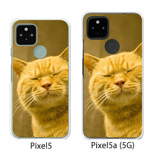 Google Pixel 5 / Google Pixel5a(5G) ケース/カバー 【吾輩は猫である名前はまだニャい クリアケース素材】グーグル ピクセル5 ケース スマホケース au ソフトバンク グーグルpixcel5 googlepixel5a5g カバー 携帯カバー 携帯ケース