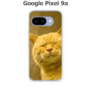 Google Pixel9a ケース/カバー 【吾輩は猫である名前はまだニャい】選べる ハードケース と シリコンケースよりほど良い硬さのTPU ソフトケース グーグルピクセル9a ドコモ au ソフトバンク ほか スマホケース 携帯カバー 携帯ケース