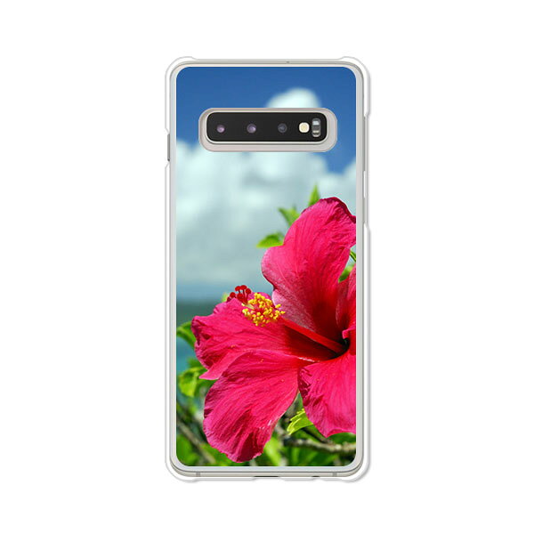 Galaxy S10 SC-03L / SCV41 共通 ケース/カバー GalaxyS10sc03l カバー ギャラクシーS10SC-03L ドコモ エーユー 携帯ケース