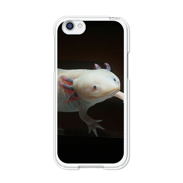 Rakuten - AQUOS R SH-03J / AQUOS R SHV39 / AQUOS R 605SH 共通 カバー/ケース シリコンケースよりもコシがありゴミがつきにくいTPUカバー 【ウーパールーパー TPUソフトケース】アクオスフォン sh03j 保護 AQUOSPHONE アール