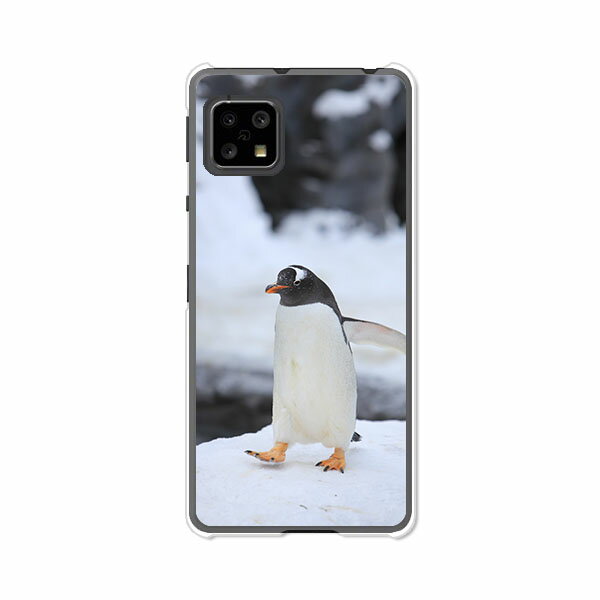 AQUOS sense5G SH-53A / SHG03 / A004SH / SH-M17 共通ケース/カバー 【ペンギン クリアケース素材】アクオスセンス5G ドコモ au ソフトバンク他 スマホケース 携帯ケース