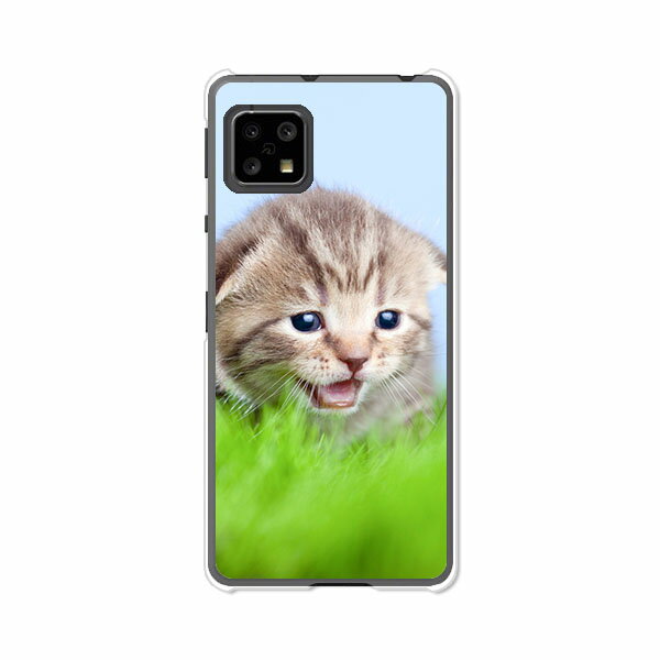 AQUOS sense4 SH-41A /SH-M15/sense4basicA003SH /sense4liteSH-RM15 共通ケース/カバー アクオスセンス4ベーシック アクオスセンス4ライト SHRM15 SHM15 スマホケース 携帯ケース