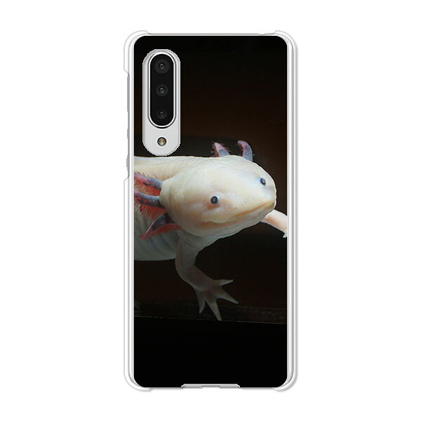 AQUOS zero5G basic DX SHG02 / A002SH 共通 ケース/カバー AquosZero5gbasicDXshg02カバー a002sh アクオスゼロ5Gbasic ハードケース スマホケース携帯カバー