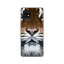 AQUOS zero6 SHG04 / AQUOS zero6 A102SH / SH-RM18  /С TIGER ꥢǺۥ6 ޥۥ shg04 A102SHС ӥ ӥС