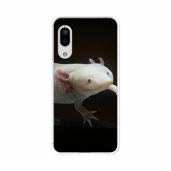 乐天商城 - AQUOS sense3 SH-02M/SHV45/SH-M12/sense3lite SH-RM12/sense3 basic SHV48 共通カバー/ケース シリコンケースよりもコシがありゴミがつきにくいスマホカバー 【ウーパールーパー TPUソフトケース】shm12 アクオスセンス3ライト 携帯ケース