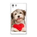 送料無料 Xperia Z1 SO-01F/SOL23 ケース/カバー 【ハートとわんこ クリアケース素材】エクスペリア SO01F ジャケット SO-01F Z1(2)