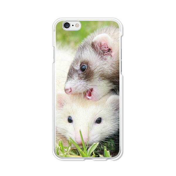 Rakuten - 送料無料 iphone6s ケース / iphone6 ケース 共通 カバー 【フェレット】 アイフォンスマートフォンカバー iphone6sケース iphone6 ケース docomo au softbank Y!mobile SIMフリー 携帯カバー