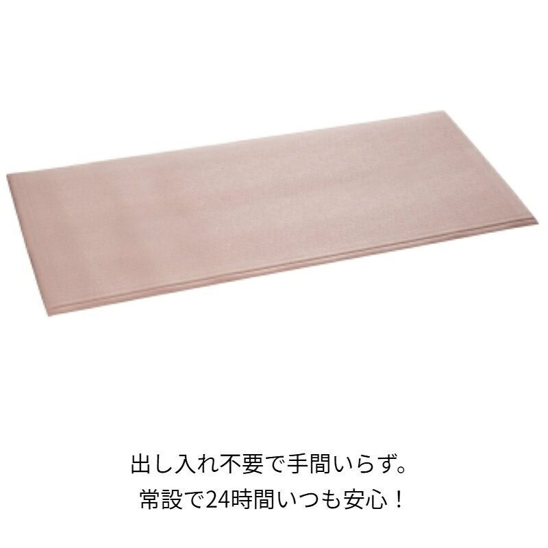 テラモト 安心クッションマット クッションマット ベッド 転倒 医療 滑り止め すべり止め マット 床ずれ 防止 シニア ケア クッション 床ずれ防止マット 高反発 床擦れ 介護用ベッド 洗える 介護用品 介護 室内 敬老の日 両親 母親 父親 祖父 祖母 父の日 母の日 誕生日 equal-10000219 イコールケアプロダクツ サンプル画像3
