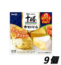 明治北海道十勝カマンベールチーズ 90g×9個 クール便 切
