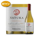 ＼4/30までP3倍！／ ワイン 白 シャルドネ カサブランカ ヴァレー 2022 ナチューラチリ オーガニック 辛口