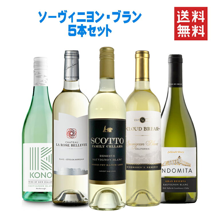 ＼ 5/22までP3倍! ／ ワインセット 白 送料無料 柑橘とハーブ香る ソーヴィニヨン ブラン 飲み比べ 5本セットフランス スペイン ニュージーランド カリフォルニア チリ