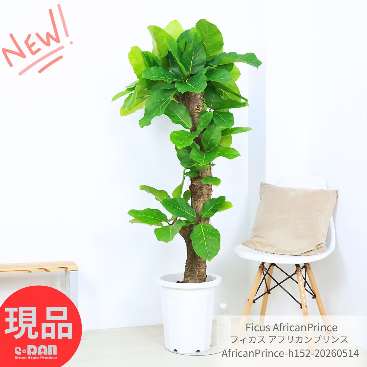 フラワースタンド プランタースタンド アルコール スタンド アイアン 室内 おしゃれ アイアン製 玄関 花台 95cm 観葉植物 台 消毒液 置く スリム 55x24 ラック 白 ホワイト 黒 木目