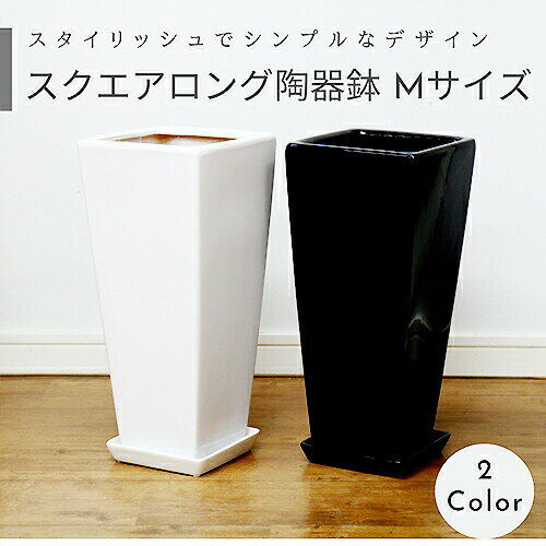 楽天市場】ロングスクエア陶器鉢s ホワイト 7号サイズの通販 楽天市場】ロングスクエア陶器鉢s ホワイト 7号サイズの通販